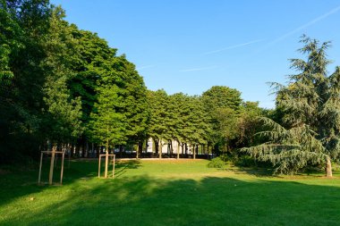 Paris, Jardin des Champs-Elysees 'de açık mavi gökyüzünün altında sık yapraklı ağaçlarla çevrili canlı çimenli çimenler. Parlak güneş ışığı yumuşak gölgeler oluşturur. Taze ve davetkar yeşil bir alan yaratır..