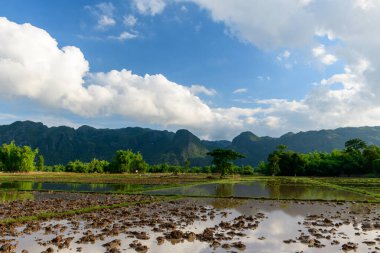 Freshly turned rice fields reflect the sky and clouds, set against a backdrop of dramatic limestone mountains and dense green trees. The scene highlights natural textures and the open rural landscape typical of the Laotian countryside.