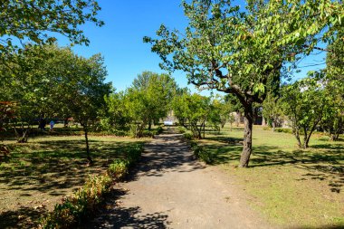 İtalya 'nın Pompeii kentinin antik bahçesindeki meyve ağaçları ve yeşilliklerle çevrili güneşli bir meyve bahçesinden geçen toprak bir patika. Açık mavi gökyüzü ve dağınık gölgeler arkeolojik alanda sakin bir Akdeniz atmosferi yaratıyor..