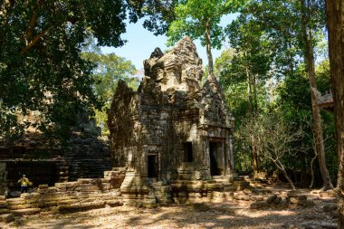 Preah Palilay tapınağının yıpranmış taş kulesi Angkor, Kamboçya 'da sık ağaçların arasında duruyor. Güneş ışığı, yaprakların arasından süzülerek dökülen yapraklarla çevrili dokulu taş ve antik mimari detayları vurguluyor.