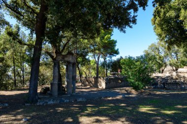 Weathered stone columns and ruins stand beneath a canopy of leafy trees in the Triangular Forum of Pompeii, Italy. Sunlight filters through the branches, casting dappled shadows across the archaeological site and textured ground.