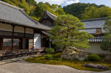 Kyoto 'nun Nanzen-ji kentindeki huzurlu bir Zen avlusunda heykeltraş edilmiş bir çam ağacı, desenli kayalar ve klasik ahşap mimari ve fayanslı çatıların yanında kazınmış çakıllar ve arka planda gür orman tepeleri yer alıyor..