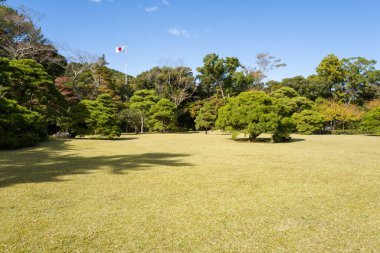 Ise 'deki Shinen Jingu bahçesinde, açık mavi bir gökyüzünün altında yontulmuş çam ağaçlarıyla çevrili geniş çimenli çimenler. Uzakta bir Japon bayrağı görülüyor..