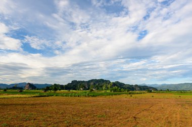 Kuru, yeşil pirinç tarlalarına ve katmanlı bulutlarla dolu bir gökyüzünün altındaki engebeli kireçtaşı tepelere doğru uzanan kuru bir tarla manzarası. Manzarada açık tarım arazileri, doğal dokular ve tipik olarak sakin bir kırsal alan bulunur.