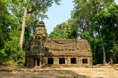 Preah Khan tapınağının yıpranmış kumtaşı girişi Kamboçya 'nın Angkor bölgesinde yoğun tropikal ormanın ortasında duruyor. Tarihi yapıda karmaşık oymalar, yosunlu yüzeyler yer alıyor ve yumuşak gün ışığıyla aydınlatılıyor.