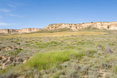 Bereketli yeşil otlar ve alçak çalılar geniş bir ovayı kaplayarak Bardenas Reales, İspanya 'da açık mavi bir gökyüzünün altında bej kayalıkları vurur. Sahne parlak ve açık, doğal dokuları ve huzurlu bir atmosferi var..