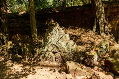 Angkor, Kamboçya 'daki antik bir tapınak duvarının yakınındaki orman zeminindeki yıkılmış bloklar arasında, yosun kaplı kumtaşı oymaları bulunuyor. Ağaçların arasından geçen benekli güneş ışığı filtreleri yıpranmış dokuları renklendiriyor ve süslüyor.