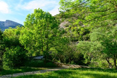 Canlı yeşil ağaçlar ve yoğun yapraklar arasında uzanan sakin bir bahçe yolu. Arka planda kayalık tepeler ve kireçtaşı kayalıklar var. Parlak güneş ışığı taze bahar gelişimini ve doğal dokuları vurgular.