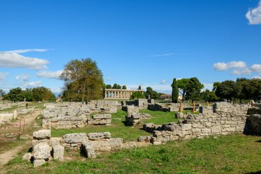 Eskimiş taş duvarlar ve arkeolojik kalıntılar, arka planda iyi korunmuş bir Yunan tapınağı ile İtalya 'nın Paestum kentindeki çimenli arazide uzanıyor. Sahne, canlı mavi bir Akdeniz gökyüzünün altında canlı bir güneş ışığıyla aydınlanıyor.