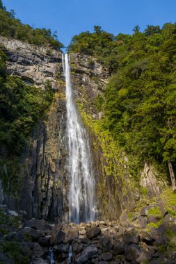 Japonya 'nın Wakayama kentindeki Nachi Şelalesi' nde yoğun yeşil ağaçlarla çevrili sarp kayalık bir uçuruma dramatik bir şelale düşer. Güneş ışığı, berrak mavi gökyüzünün altındaki dokulu taş ve canlı yaprakları aydınlatır..