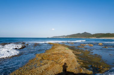 Kotohikihama Sahili 'ndeki sakin mavi okyanusa doğru uzanan geniş kayalık gelgit düzlüğü, kıyıları ve berrak gökyüzünün altındaki uzak yeşil tepeleri kaplayan nazik dalgalar..