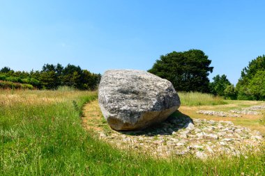 Devasa yıpranmış menhir parçası Locmariaquer 'daki güneşli çimenlik bir arazide bulunuyor. Etrafı vahşi bitki örtüsü ve antik taş işçiliğiyle çevrili. Parlak yaz ışığı pürüzlü dokuları ve muazzam ölçeği vurgular..