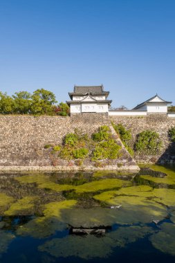 Beyaz bir Japon şatosu, dokusu taş bir duvarın üzerinde duruyor. Yansıması aşağıdaki hendekte görülebiliyor. Parlak güneş ışığı ve açık mavi gökyüzü Osaka 'nın su yüzeyindeki yeşil ve algleri vurgular..