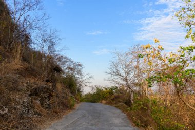 Kamboçya 'nın Battambang ilindeki Phnom Sampov yakınlarındaki engebeli araziden geçen kuru yamaç bitkileri ve seyrek ağaçlarla çevrili asfalt yol. Sahne, açık mavi gökyüzünün altında gün ışığıyla aydınlatılır.