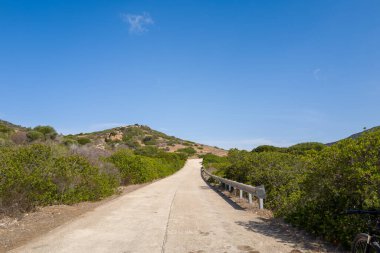 A sunlit concrete road winds gently uphill through dense Mediterranean shrubs and low hills in Asinara National Park, Sardinia. The scene is bright and open under a clear blue sky, evoking a sense of adventure and tranquility.