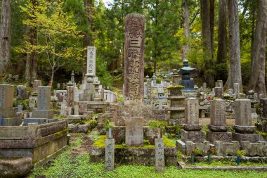 Koya San 'daki Okunoin Mezarlığı' nın sakin ormanında uzun taş oymalar ve mezar taşları yosun ve yeşillikler arasında duruyor. Yükselen sedir ağaçları ve benekli güneş ışığı barışçıl, zamansız bir atmosfer yaratır..
