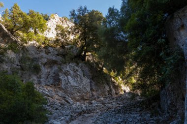 Sardunya 'nın Baunei yakınlarındaki kireçtaşı uçurumları ve yoğun Akdeniz bitkilerinin arasından dik, taştan bir vadi esiyor. Güneş ışığı ağaçların tepelerinden süzülüyor, zıt gölgeler ve kayalık zemin boyunca parlaklıklar oluşturuyor..