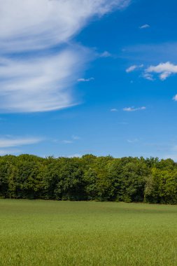 Geniş çimenli çayır yapraklı ağaçların yoğun bir çizgisine yol açar, çarpıcı kıvrımlı bulutlar canlı mavi bir yaz gökyüzü boyunca uzanır. Açık kırsal kesimde doğal dokular ve orta Fransa 'nın tipik geniş bir sakinliği vurgulanıyor..