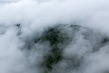 Yemyeşil bir orman tepe örtüsünün üzerinde dönen yoğun sisin havadan görünüşü. Sahne, alçak bulutlar tarafından kısmen gizlenmiş canlı ağaç tepelerini, uzak bir doğal ortamda yumuşak ve sakin bir atmosfer yaratıyor..