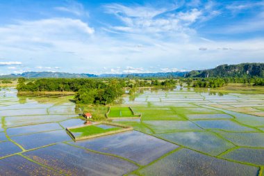 Sel basmış pirinç tarlalarının hava perspektifi açık mavi bir gökyüzü altında Laos kırsalında, yemyeşil ağaçlar ve uzak kireçtaşı tepelerle çevrili yansıtıcı yüzeyler mozaiği oluşturuyor. Manzara geometrik bölünmeler, canlı yeşillik ve