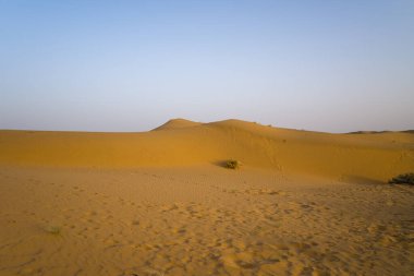 Hindistan 'ın Jaisalmer yakınlarındaki Thar Çölü' nde soluk mavi bir gökyüzü altında seyrek çöl çalılıklarına sahip kavisli altın kum tepeleri yükseliyor. İnce dokular ve sıcak ışık sakin ve geniş bir manzara yaratır..