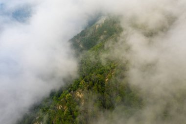 Pireneler 'deki yemyeşil orman dağ yamacının havadan görünüşü yoğun, girdap gibi sisle kısmen gizleniyor. Yumuşak ışık ve sürüklenen bulutlar gizemli ve sakin bir hava yaratır..