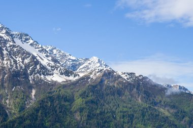 Pürüzsüz dağ zirveleri, açık mavi gökyüzünün altında Massif du Mont Blanc 'taki yoğun yeşil çam ormanlarının üzerinde yükselen karla birlikte..