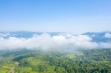 Yumuşak beyaz bulutlar canlı yeşil bir ormanın ve Dien Bien, Vietnam 'da yuvarlanan tepelerin üzerinde süzülür. Manzara açık gün ışığıyla yıkanır. Geniş açık gökyüzünün altındaki uzak mavi dağlarla..