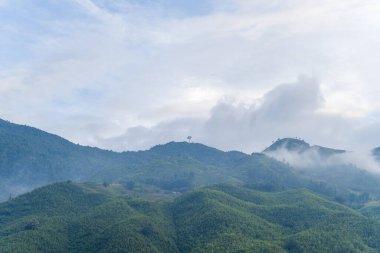 Yuvarlanan yeşil tepeler, bulutlu bir gökyüzünün altında, Sapa, Vietnam 'daki yamaçlar boyunca ilerleyen yumuşak bir sis bulutu altında uzanır. Huzurlu sahnede verimli bitki örtüsü ve dağınık gün ışığında yıkanmış nazik hatlar yer alıyor..