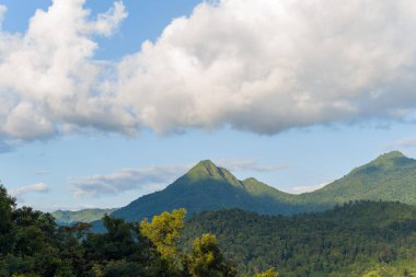 Dien Bien Phu, Vietnam yakınlarında geniş, dalgalı bulutlarla dolu bir gökyüzünün altında yemyeşil orman dağları yükseliyor. Yumuşak güneş ışığı manzarayı ön plana çıkarır ve yeni ve geniş bir doğal manzara yaratır..