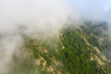 Pireneler 'deki engebeli, ormanlık bir yamacın havadan görünüşü alçak bulutlar yemyeşil ve açıkta kalmış kayaları süpürürken karamsar ve sakin bir manzara yaratıyor..