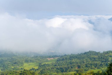 Yoğun beyaz bulutlar Dien Bien, Vietnam 'ın canlı yeşil tepelerini örtüyor. Dağınık gün ışığı altında yumuşak, rüya gibi bir manzara yaratıyor. Sahne huzurlu ve geniş, sisli uzak ufku gizliyor..