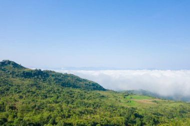 Dien Bien, Vietnam 'da yemyeşil bir yamaç kalın bir beyaz bulut tabakasının üzerinde yükseliyor. Parlak güneş ışığı ve berrak mavi gökyüzü yeni ve canlandırıcı bir manzara yaratır..