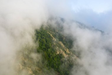 Pireneler 'deki kayalık, orman yamacının havadan görünüşü kısmen yoğun, girdap gibi sisle kaplı. Sahnede yemyeşil ve yumuşak, sakin ve gizemli bir ruh hali için yayılmış sabah ışığı var..