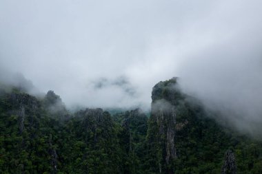 Yoğun sis, Laos, Vang Vieng yakınlarında yemyeşil ormanlarla kaplı dik kireç taşı oluşumları etrafında sürükleniyor. Alçak bulutlar ve engebeli zirveler gizemli ve tenha bir dağ manzarası yaratır..