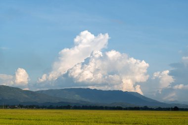 Büyük beyaz kümülüs bulutları yemyeşil pirinç tarlaları ve Dien Bien Phu yakınlarındaki açık mavi gökyüzünün altında yuvarlanan dağlar üzerinde yükselir. Sahne aydınlık ve sakin. Açık alan ve sakinlik hissi uyandırıyor..