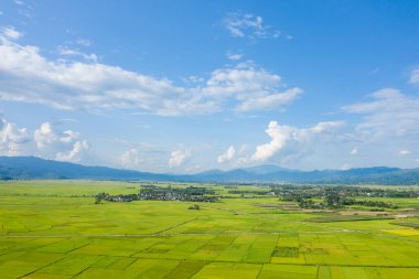 Geniş bir düzlük boyunca uzanan geniş yeşil pirinç tarlaları, Dien Bien Phu yakınlarında dağınık bulutlarla dolu parlak bir gökyüzünün altındaki uzak mavi dağların tabanında yuva yapmış küçük bir köy. Manzara açık, havadar ve huzurlu..