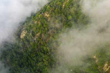 Pireneler 'deki yeşil orman yamacının havadan görünüşü kısmen alçak bulutlar ve sisle kaplı. Engebeli arazi ve yemyeşil yapraklar sakin, atmosferik bir manzara yaratır..