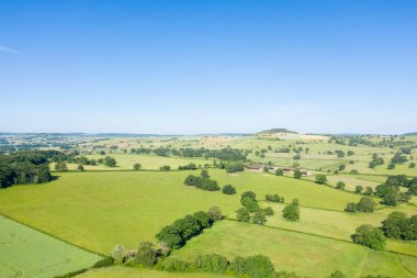 Açık yeşil tarlalar, dağınık ağaçlar ve Nivernais kırsalındaki açık mavi gökyüzünün altında yükselen tepeler..