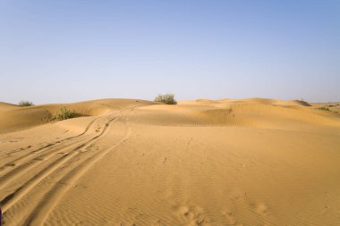 Geniş lastik izleri ve soluk ayak izleri Hindistan 'ın Jaisalmer yakınlarındaki Thar Çölü' nde açık mavi bir gökyüzünün altında seyrek yeşil çalılarla benekli altın kum tepecikleri. Sahne açıklık, ince bir hareket ve sakin, güneşli bir atmosfer taşır..