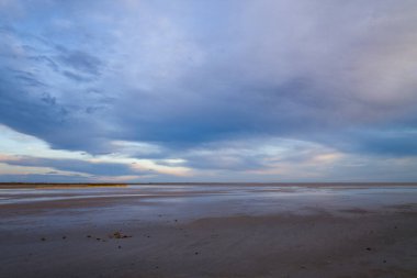 Camargue 'deki geniş kumlu plaj, yumuşak pastel bulutlarla dolu engin bir gökyüzünün altında ufka doğru uzanır. İnce yansımalar ve sakin bir ışık dingin, geniş bir kıyı havasını çağrıştırıyor..