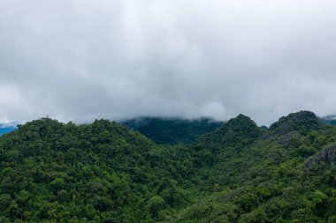 Yoğun bulutlar, Laos 'un Vang Vieng çevresindeki yoğun ormanlık tepelere iniyor. Bereketli bitki örtüsü ve sisli atmosfer bu tropik dağ manzarasında inzivaya çekilme hissi yaratıyor..