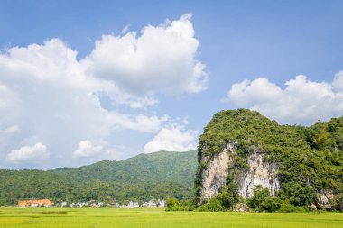 Kuzey Vietnam 'da dağınık bulutlu mavi bir gökyüzünün altında canlı pirinç tarlalarının yanında yemyeşil bitki örtüsüyle kaplı dramatik bir kireçtaşı uçurumu yükseliyor. Sahne güneşli ve açık, uzak köy evleri ve arka planda yuvarlanan tepeler var..