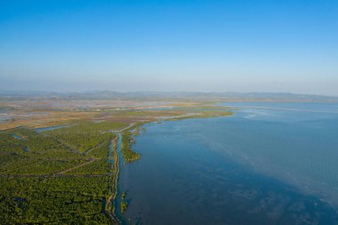 Kamboçya 'nın Kamboçya kıyısında geniş gelgit sularının sınırında yoğun mangrov ormanları görülüyor. Kompozisyonda yemyeşil, dolambaçlı kanallar ve açık mavi gökyüzünün altındaki uzak tepeler yer alıyor..