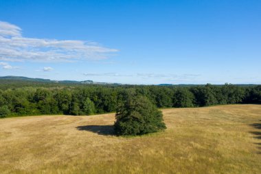Issız bir ağaç, Morvan kırsalındaki sık ormanlarla çevrili, parlak mavi bir gökyüzünün altındaki uzak tepeler boyunca uzun bir gölge bırakır. Sahnede açık kırsal dokular ve sakin ve ferah bir ruh hali var..