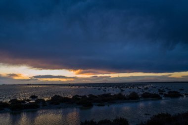 Güneş batarken Camargue 'deki sakin bir sulak arazinin üzerinde kara bulutlar beliriyor. Su ve alçak bitki örtüsü üzerinde dramatik turuncu ve altın rengi bir ışık yayıyor..