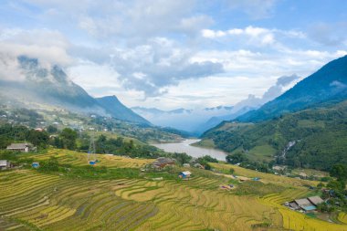 Huzurlu bir göle uzanan altın teraslı pirinç tarlalarının geniş manzarası, dağınık kırsal evler ve Sapa, Vietnam yakınlarındaki sisli yeşil dağlar. Yumuşak bulutlar ve katmanlı tepeler barışçıl, doğal bir manzara yaratır..