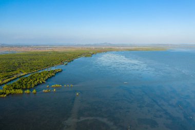 Geniş hava manzarası Kamboçya, Kamboçya 'nın kıyı şeridi boyunca sakin suların sınırında yoğun mangrov ormanları gösteriyor. Görüntüde yemyeşil, dolambaçlı su yolları ve açık mavi gökyüzünün altındaki uzak tepeler yer alıyor..
