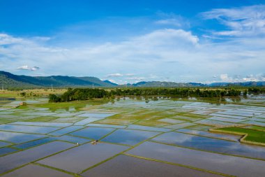 Sel basmış pirinç tarlaları Laos kırsalında yeşil ağaçlar ve açık mavi gökyüzünün altındaki uzak tepelerle çevrili yansıtıcı yüzeylerin bir parçasını oluşturur. Manzarada geometrik bölünmeler, yemyeşil bitki örtüsü ve sakin bir kırsal bölge yer alıyor.