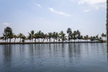 A line of palm trees stands along the edge of a calm backwater in Alappuzha, Kerala, India. The clear blue sky and gentle ripples create a peaceful, tropical landscape with mirrored reflections.